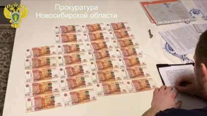 Под Новосибирском предпринимательница обманула государство на 2