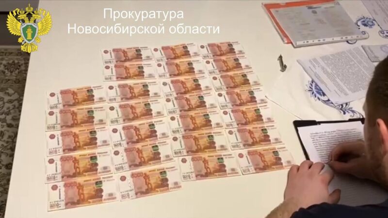 Под Новосибирском предпринимательница обманула государство на 2