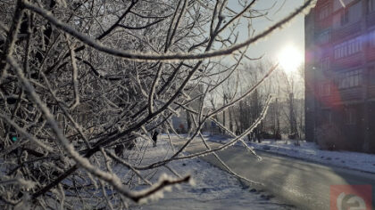 Метель и 30-градусный мороз ожидаются в Новосибирской области
