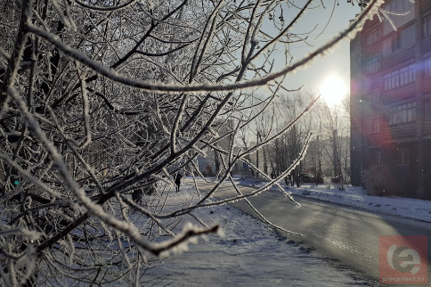 Метель и 30-градусный мороз ожидаются в Новосибирской области
