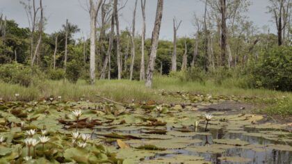 Суд привлек новосибирский «Горводоканал» к делу о миллиардном ущербе природе