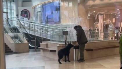 Подозрительную коробку обнаружили в новосибирском торговом центре