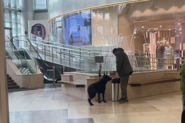 Подозрительную коробку обнаружили в новосибирском торговом центре