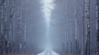 Дважды продлили ограничения движения под Новосибирском