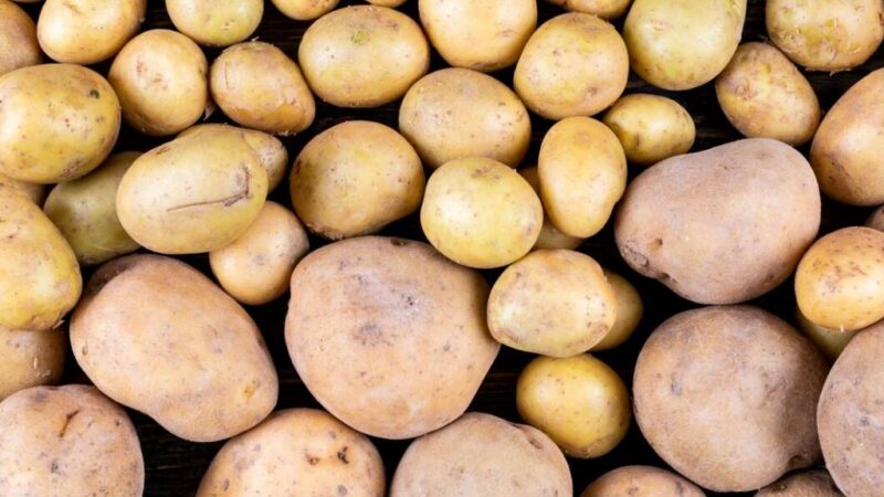 Картофель в Новосибирске подорожал вдвое за 2024 год