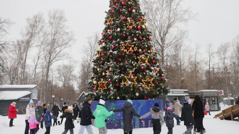 В Новосибирске отметили День рождения Снежной Бабы