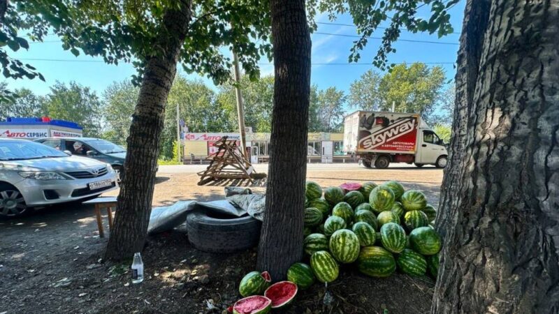 В Новосибирске в 2024 году изъяли 68 тонн незаконных товаров