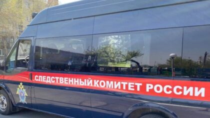 Бастрыкин поручил возобновить дело исчезнувшего новосибирского мальчика