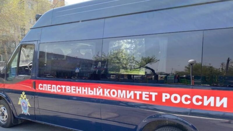 Бастрыкин поручил возобновить дело исчезнувшего новосибирского мальчика