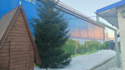 Новосибирцев удивило решение суда по незаконной постройке