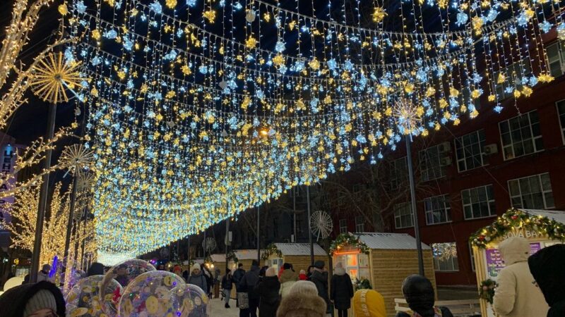 В Новосибирске полиция будет охранять граждан от аниматоров- вымогателей
