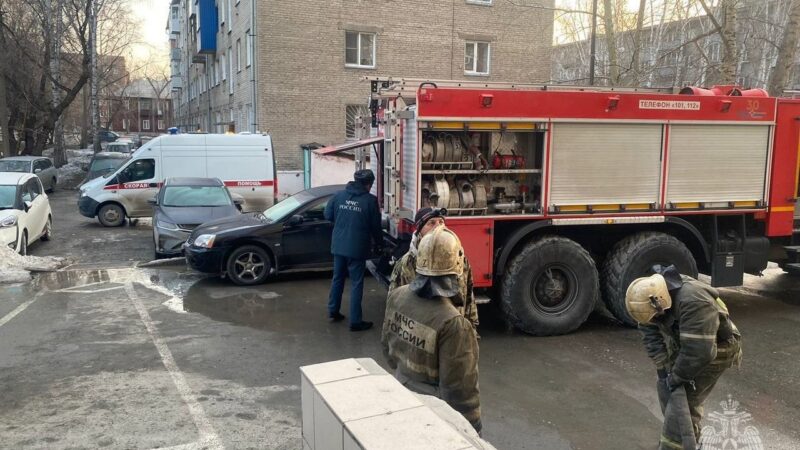 17 пожаров каждый день случается в Новосибирской области