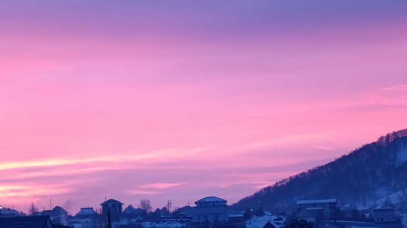 Новосибирские ученые зафиксировали резкое изменение климата в Сибири