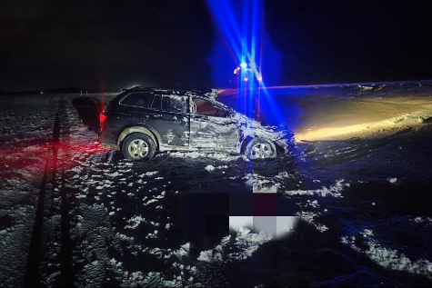 10-летняя девочка погибла в ДТП под Новосибирском