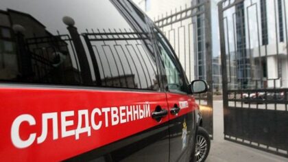 В Новосибирске СКР возбудил дело после падения дерева на ребенка