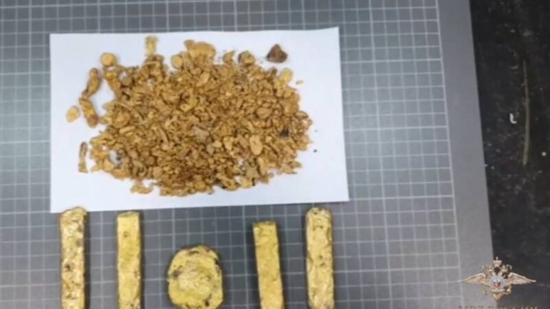 Мигранты пытались вывезти из РФ через Новосибирск партию золота и серебра