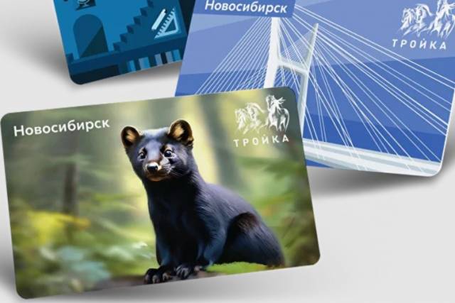 Новосибирцы жалуются на «кабальные» условия оформления карты «СберТройка»