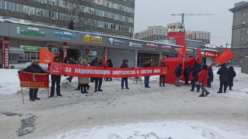 В Новосибирске прошел пикет за национализацию ЖКХ
