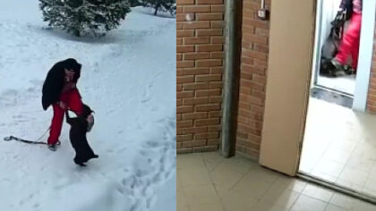 Новосибирца обвинили в регулярном истязании добермана