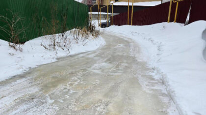 Новосибирские власти не могут приватизировать источник фекальной реки