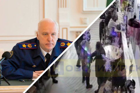 Бастрыкина возмутила драка расистов в новосибирском алкомаркете