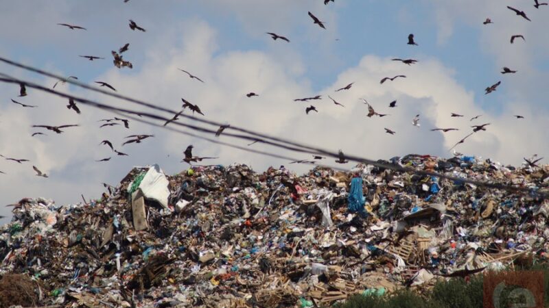 Крупнейшие свалки Новосибирска ликвидируют к 2030 году