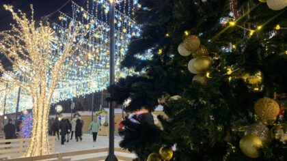 120 тысяч новосибирцев насчитали на новогодних гуляниях