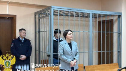 Новосибирец воткнул сверло дрели в медсестру и выпрыгнул из окна