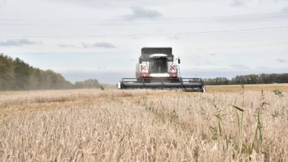 Новосибирская область нарастила объемы экспорта АПК почти в семь раз