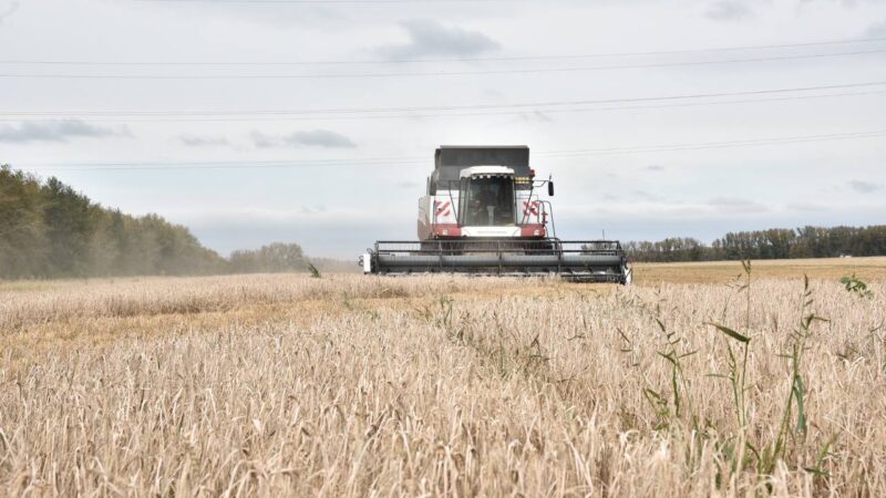 Новосибирская область нарастила объемы экспорта АПК почти в семь раз