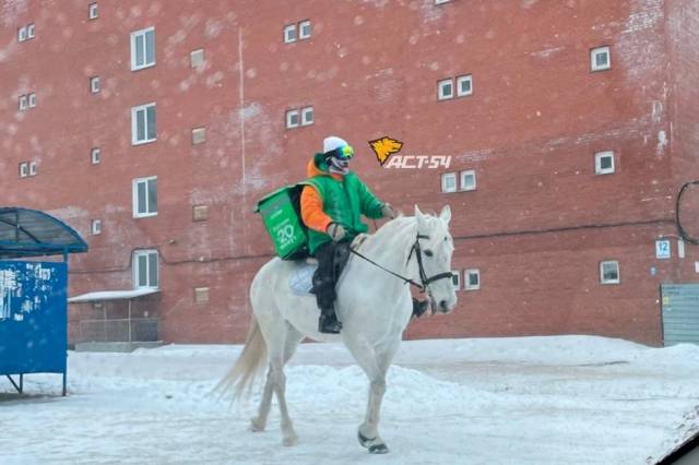 В Новосибирске заметили курьера на белом коне